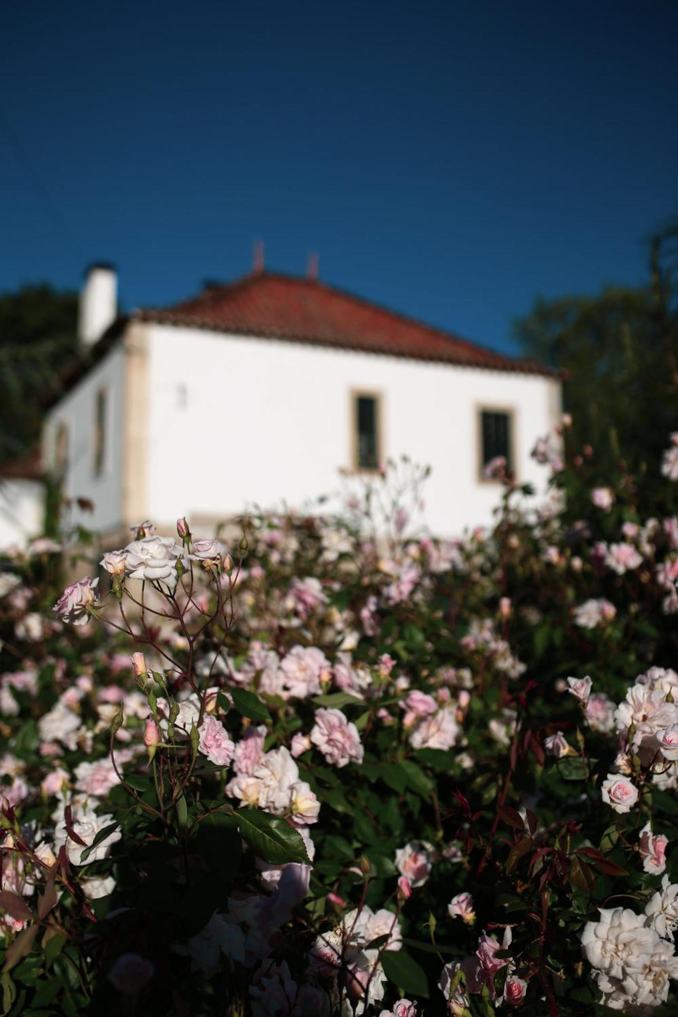 Lugar Da Pedra Alta - B&B - Private Historical Villa Melo Екстер'єр фото